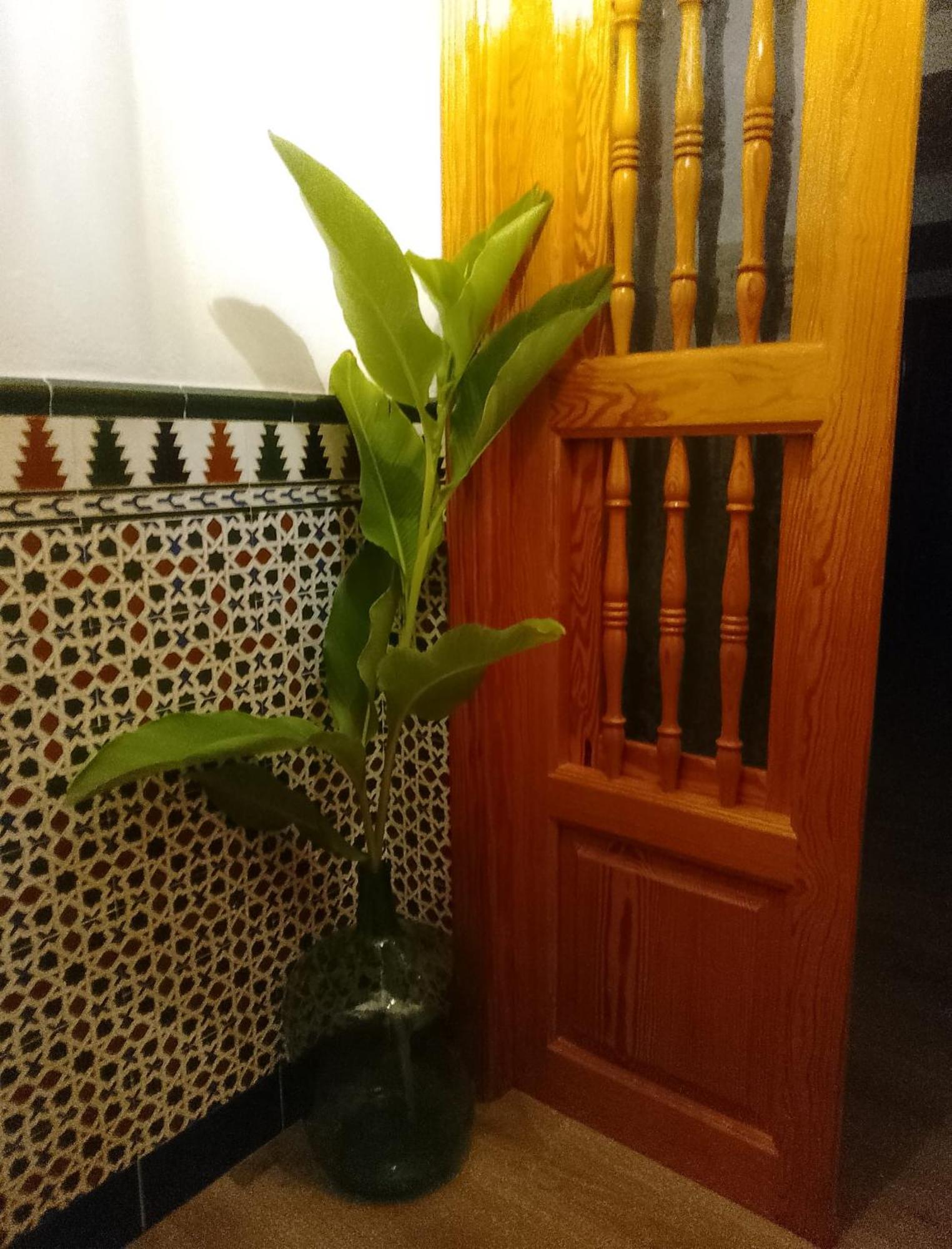 La Tesela Hébergement de vacances Priego de Córdoba